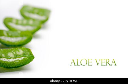 Nahaufnahme frischer Aloe-Vera-Blätter, abgeschnitten auf weißem Hintergrund Stockfoto