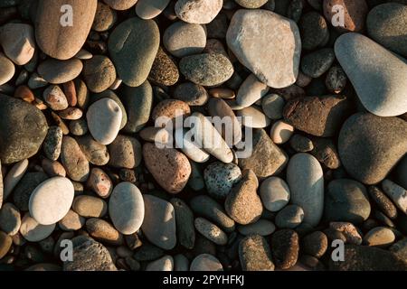 Steinkiesel am Strand als Hintergrund Stockfoto