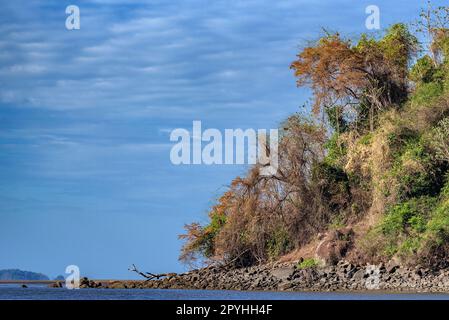 Der Chiriqui River, kurz bevor er in den Golf von Chiriqui, Panama, eindringt Stockfoto