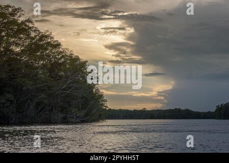 Der Chiriqui River, kurz bevor er in den Golf von Chiriqui, Panama, eindringt Stockfoto