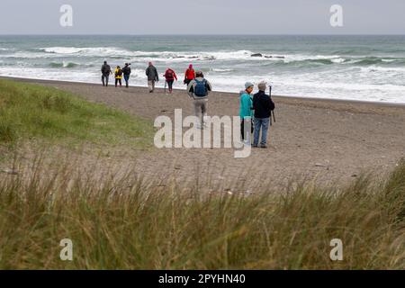 Owenahincha, West Cork, Irland. 3. Mai 2023. Am Owenahincha Beach gab es heute Abend starke Winde und Wellen. Mitglieder des Clonakilty Camera Club waren draußen und machten das Wetter optimal, um Fotos am Strand zu machen. Kredit: AG News/Alamy Live News. Stockfoto