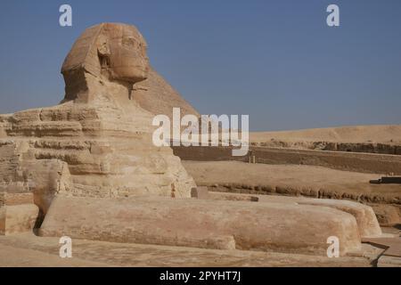 Blick von der Seite auf die Sphinx mit der Großen Pyramide im Hintergrund in Gizeh Stockfoto