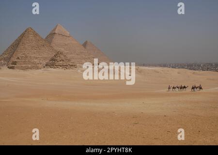 Beduinen und Kamele stehen in der Wüste vor den drei Pyramiden von Gizeh Stockfoto
