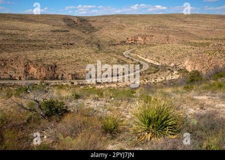 Parkstraße im Walnut Canyon, Carlsbad Caverns National Park, New Mexico Stockfoto