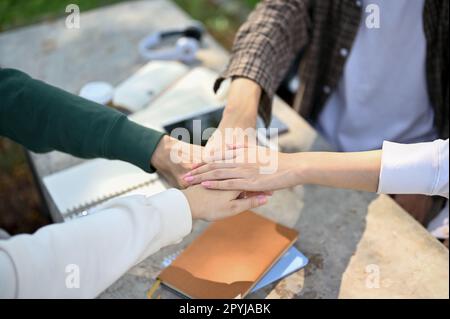Nahaufnahme verschiedener Studenten, die ihre Hände zusammenlegen, um sich aufzuheitern, während sie sich auf die Prüfung in einem Campus-Park vorbereiten. Teamarbeit, Stockfoto