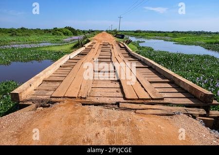 Typische Holzbrücke auf der Tranpantaneira Road in North Pantanal Wetlands, Mato Grosso, Brasilien Stockfoto