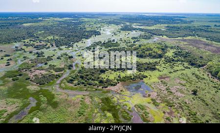 Luftaufnahme der typischen Pantanal Feuchtgebiete mit Lagunen, Wäldern, Wiesen, Flüssen, Feldern und endlosem Horizont, Mato Grosso, Brasilien Stockfoto