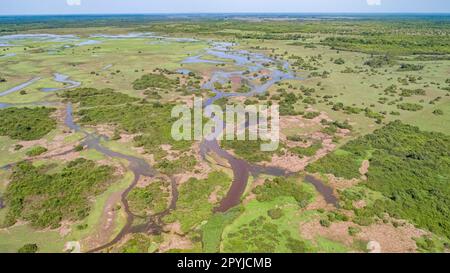 Luftaufnahme der typischen pantanalen Feuchtgebiete mit Lagunen, Wald, Wiesen, Fluss, Feldern, Mato Grosso, Brasilien Stockfoto