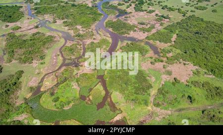 Luftaufnahme der typischen pantanalen Feuchtgebiete mit Lagunen, Wald, Wiesen, Fluss, Feldern, Mato Grosso, Brasilien Stockfoto