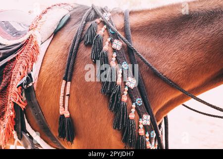Pferdegeschirr dekorativ, Nahaufnahme Stockfoto