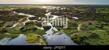 Panoramablick aus der Vogelperspektive bei Sonnenuntergang auf typische Pantanal Feuchtgebiete mit Lagunen, Wäldern, Wiesen, Fluss, Feldern, Mato Grosso, Brasilien Stockfoto