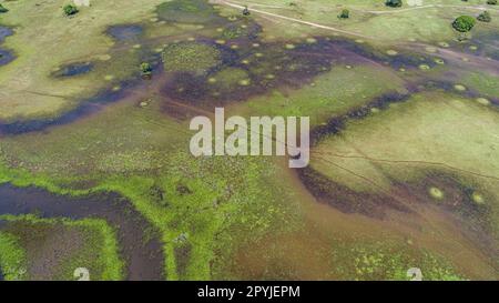 Atemberaubender Blick aus der Vogelperspektive auf typische pantanale Feuchtgebiete mit Lagunen, Flüssen, Wiesen und Bäumen, Mato Grosso, Brasilien Stockfoto