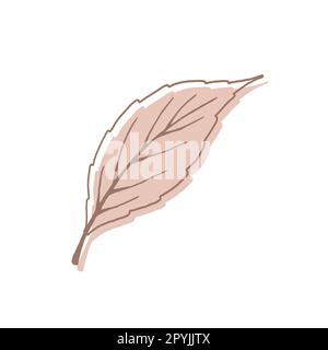 Abstraktes Blatt. Minimalistische Kunst in Pastelltönen. Designelement für Wandbilder, soziale Medien, Poster, Aufkleber und Einladungen. Moderner Vektor Stock Vektor