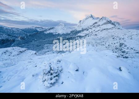 macizo del Puig Major1436 metros, Escorca, sierra de tramontana, mallorca, islas baleares, España, europa Stockfoto