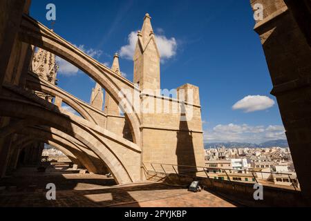 Pinaculos, Catedral de Mallorca, siglo XIII, Monumento histórico - artístico, Palma, Mallorca, Balearen, Spanien, Europa Stockfoto