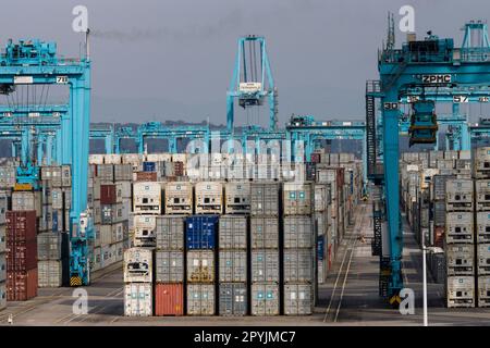 Contenedores en El Puerto Bahía de Algeciras, Andalusien, Spanien Stockfoto