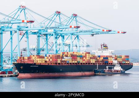 Contenedores en El Puerto Bahía de Algeciras, Andalusien, Spanien Stockfoto