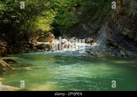 Bergfluss grüner Wald. Sommer schöne kühle Landschaft im Wald mit Wasser. Natürlicher horizontaler Hintergrund. Ein Strom von klarem Wasser fließt ov Stockfoto