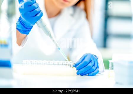 Pipettieren chemischer Proben während der Forschung in einem biochemischen wissenschaftlichen Labor Stockfoto