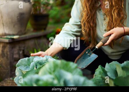 Junge, weiße Gärtnerin, die Gemüse pflanzt und ein glückliches Lächeln aus der Nahaufnahme macht. Junge, fröhliche Frau mit Kelle in ihrem Garten, die sich um sie kümmert Stockfoto