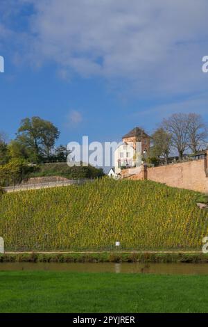 Stadtblick auf die deutsche Stadt Saarburg mit dem Fluss Saar Stockfoto