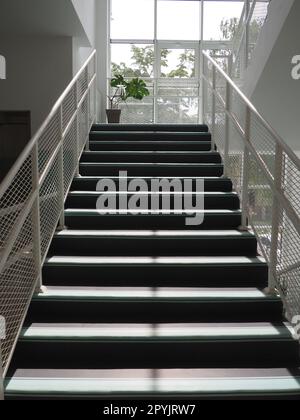 Treppe im Schulinneren. Neue, moderne Schule. Trittstufen und Handläufe. Sonnenschein aus einem großen Fenster. Monstera in einem Topf auf der Landung. Modernes Büro- oder Institution-Design Stockfoto