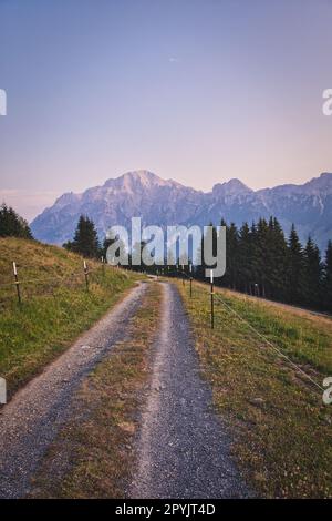 Bergstraße über üppige Wiesen bei Sonnenaufgang in Saalfelden mit Blick auf das Leoganger Steinberge, Österreich Stockfoto