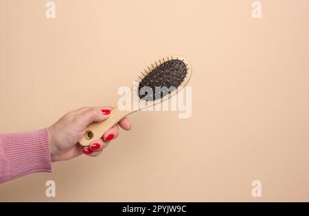 Die Hand einer Frau hält eine Bürste, um Tierhaare auf einem beigen Hintergrund zu kämmen Stockfoto