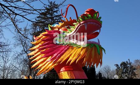 Chinesisches Neujahr. Leuchtender rot-orangefarbener Drache im Park. Traditionelle chinesische Weihnachtsdekoration. Der Mund des Drachen ist offen. Langer, lockiger Schwanz. Mondsolar-Kalender. Frühlingsfest Stockfoto
