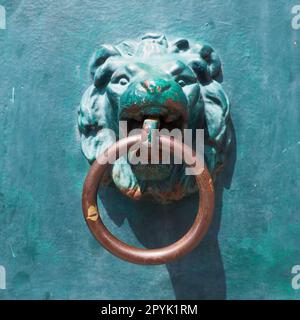 Ein Türklopfer ist eine Vorrichtung an der Haustür eines Hauses. Sie besteht aus Metall und hat die Form eines Rings, der auf den Metallteil des an der Wand befestigten Türklopfers geklopft wird. Mündung eines Löwen. Stockfoto