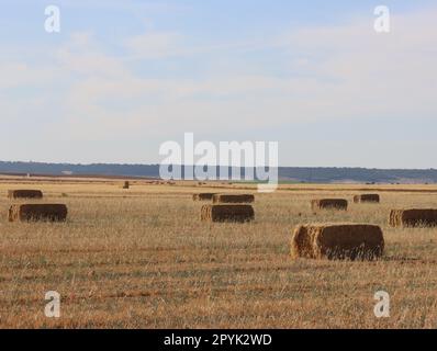 Schönes Plateaufeld Spanien erntet Strohballen Sommerhitze Stockfoto