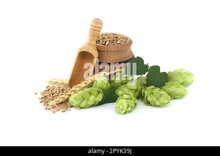 Frische Hopfenzapfen mit Blättern und Weizenkörnern Stockfoto