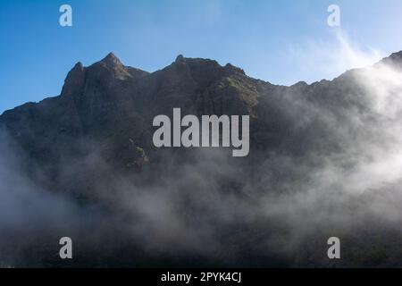 Nebel in den Bergen von Teneriffa in Spanien Stockfoto