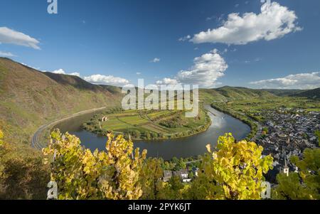 Bremm mit Moselschleife, Deutschland Stockfoto