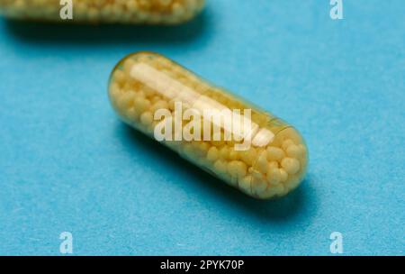 Transparente medizinische Kapseln mit gelbem Granulat innen auf blauem Hintergrund, Tabletten zur Behandlung, Vitamine Stockfoto