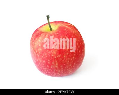 Apple isoliert auf weißem Hintergrund Stockfoto
