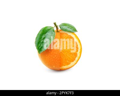 Kreatives Layout aus Orangenfrucht. Flach liegend. Lebensmittelkonzept Stockfoto