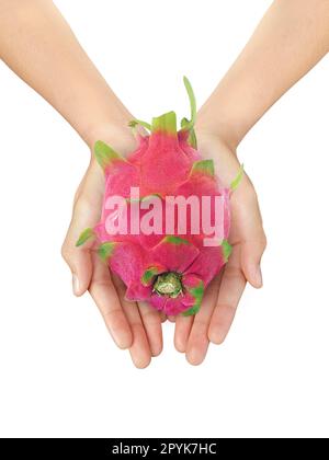 Schöne Frau, die eine Drachenfrucht auf einem weißen, isolierten Hintergrund hält Stockfoto