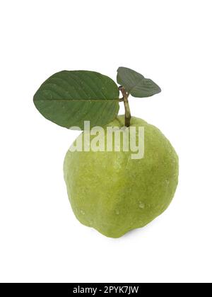 Guavafrüchte isoliert auf weißem Hintergrund. Stockfoto