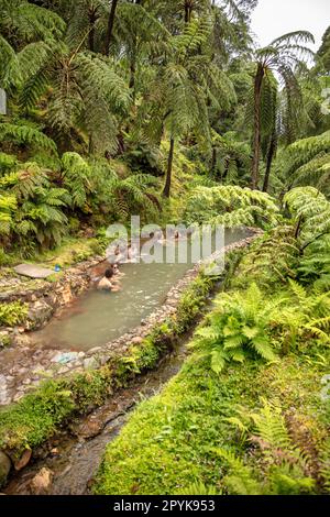 Portugal, Azoren, Insel Sao Miguel, Caldeira Velha heiße Quelle. Caldeira Velha Naturdenkmal. Stockfoto