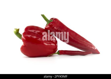 Frische Chili-Paprika und rote Paprika über Weiß Stockfoto