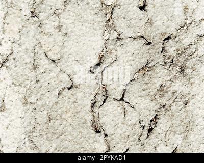 Die strukturierte Oberfläche einer Betonwand, Marmor, Granit oder hellen Steins mit dunklen Flecken und Rissen. Abstrakter Hintergrund. Kreativer hellgrauer Hintergrund mit roten und braunen Moos-, Schmutz- und Staubstücken Stockfoto