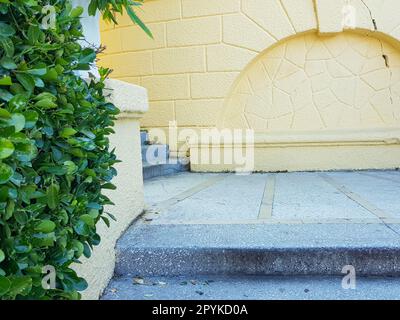 Wunderschöner Steinbogen in der Wand an der Treppe mit grünen Pflanzen Stockfoto