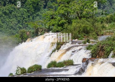 Blick auf den Gipfel der Wasserfälle und üppige grüne Vegetation, Iguazu Falls, Argentinien Stockfoto