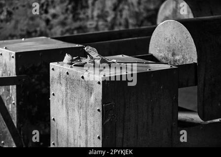 Ofen zum Verbrennen von Leichen in einem KZ in Polen aus dem Zweiten Weltkrieg Stockfoto