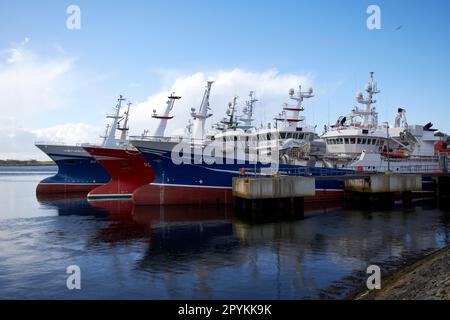 killybegs-Fischereiflotte im Hafen killybegs Harbour Grafschaft donegal republik irland Stockfoto