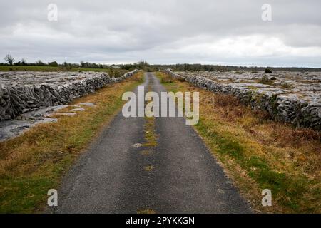 Kleine Landstraße, die durch trockene Steinmauern durch die burren County clare republic of ireland begrenzt wird Stockfoto