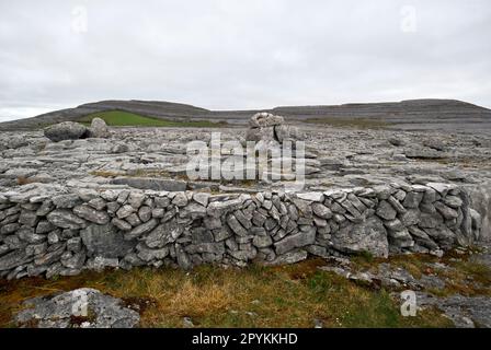 Trockene Steinmauer aus lokalem Kalksteinfeld mit unregelmäßigen Gletscherfelsen auf dem Kalksteinpflaster der burren County clare republic of ir Stockfoto