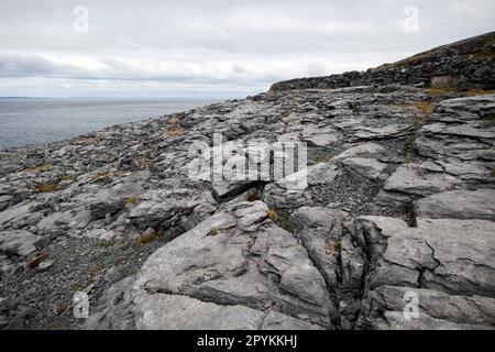 Kalksteinpflaster neben der Küste von galway Bay, burren County clare republic of ireland Stockfoto