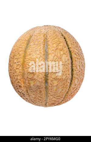 Cantaloupe-Melone, isoliert auf weiß, mit Beschneidungspfad Stockfoto